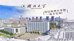 2021年湖北大學(xué)MBA調(diào)劑開網(wǎng)時間