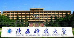 2021年陜西科技大學(xué)MBA調(diào)劑開網(wǎng)時間